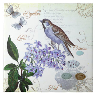 Französische Vogel-Blumen-Collage im Vintage-Look Fliese