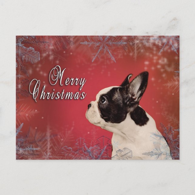 Französische Weihnachtskarte Feiertagspostkarte (Vorderseite)
