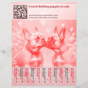 Französische Welpen Design Flyer