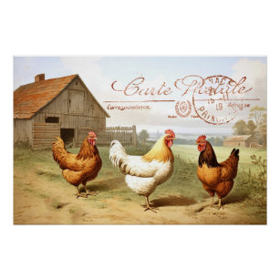 Französischer Bauernhof Hühnerhähnchen Barn Hen Bi Poster
