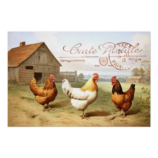 Französischer Bauernhof Hühnerhähnchen Barn Hen Bi Poster (Vorderseite)