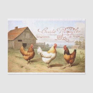 Französischer Bauernhof Hühnerhähnchen Barn Hen Bi Seidenpapier