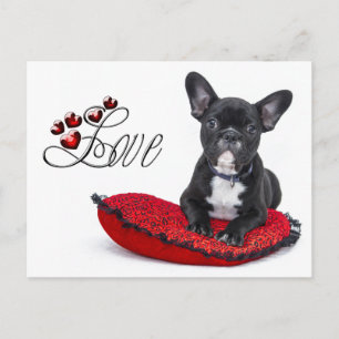 Französischer Bull Dog - Französische Liebe Postkarte