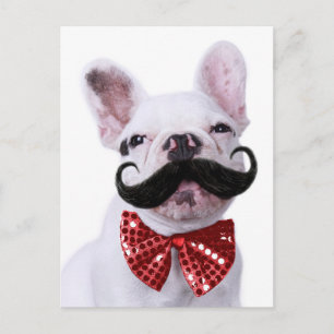 Französischer Bull Doppy Welpe mit Mustache Postkarte