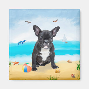 Französischer Bulldog am Strand Magnet