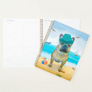 Französischer Bulldog am Strand Planer