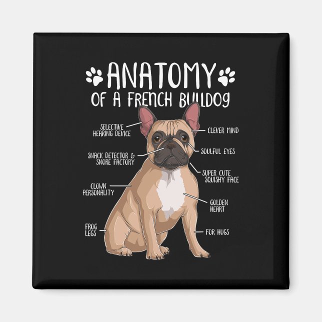 Französischer Bulldog Anatomie Frenchie Dog Lover  Magnet (Vorne)