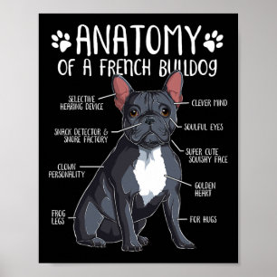 Französischer Bulldog Anatomie Frenchie Dog Lover  Poster