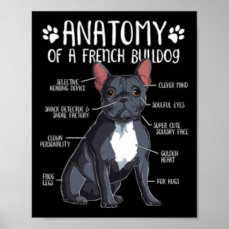 Französischer Bulldog Anatomie Frenchie Dog Lover Poster