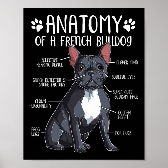 Französischer Bulldog Anatomie Frenchie Dog Lover  Poster (Vorne)