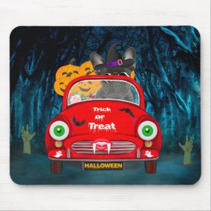 Französischer Bulldog Autofahrer Beängstigend Hall Mousepad