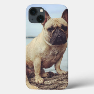 Französischer Bulldog Case-Mate iPhone Hülle