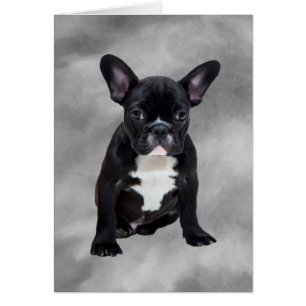 Französischer Bulldog, der Aquarellfarben-Ölgemäld