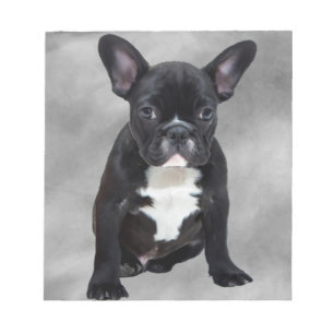 Französischer Bulldog, der Aquarellfarben-Ölgemäld Notizblock