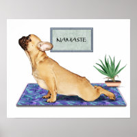 Französischer Bulldog, der Hunde-Yoga-Pose nach ob