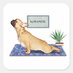 Französischer Bulldog, der Hunde-Yoga-Pose nach ob Quadratischer Aufkleber