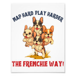 Französischer Bulldog Dog Fotodruck