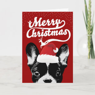 Französischer Bulldog Frohe Weihnachten Roter Urla