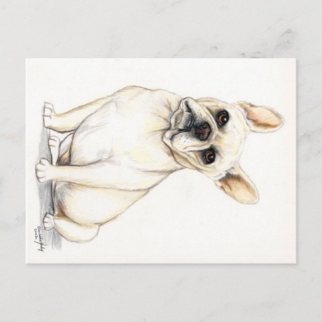 Französischer Bulldog Hund Art Postkarte (Vorderseite)