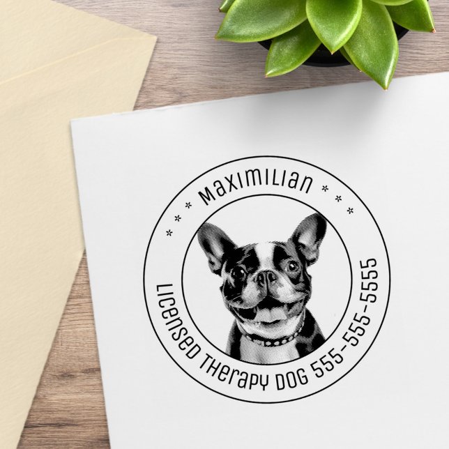 Französischer Bulldog Hund Foto Gummistempel (Von Creator hochgeladen)