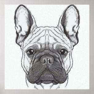 Französischer Bulldog Hund Wildtier-Illustration Poster