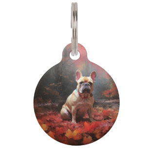Französischer Bulldog im Herbst Leaves Fall Inspir Haustiermarke