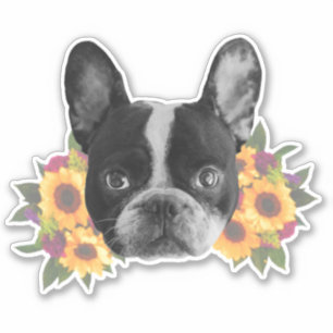 Französischer Bulldog in Blume Aufkleber