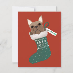 Französischer Bulldog in einem Weihnachtsfest-Stru Feiertagskarte