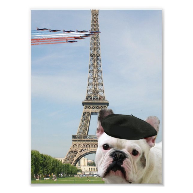Französischer Bulldog in Paris Fotodruck (Vorne)