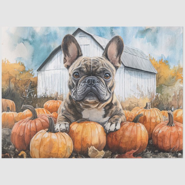 Französischer Bulldog in Pumpkin Patch Decoupage Seidenpapier (Vorderseite)