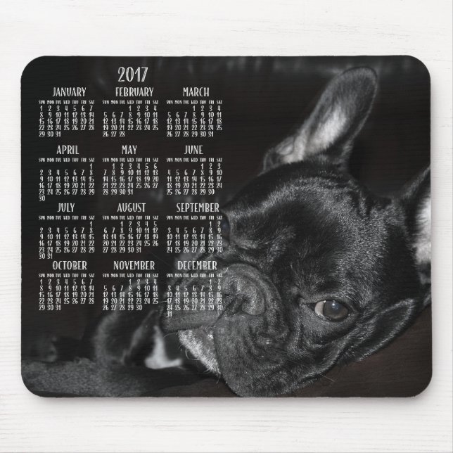 Französischer Bulldog-Kalender 2017 - Maus-Pad Mousepad (Vorne)
