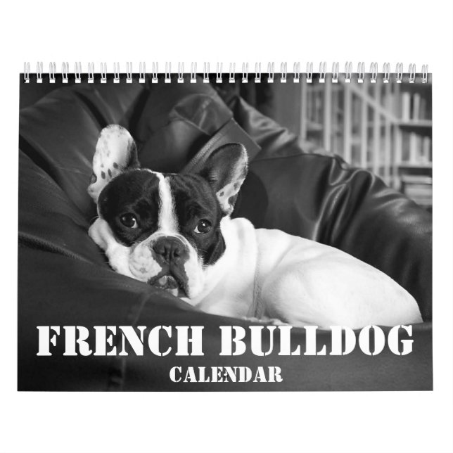 Französischer Bulldog-Kalender 2023 - Schwarz-weiß Kalender (Titelbild)