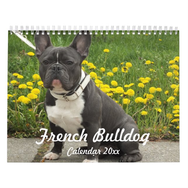 Französischer Bulldog-Kalender 2024 Fotos hinzufüg Kalender (Titelbild)
