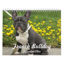 Französischer Bulldog-Kalender 2024 Fotos hinzufüg Kalender