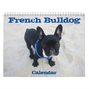 Französischer Bulldog-Kalender 2025 Kalender