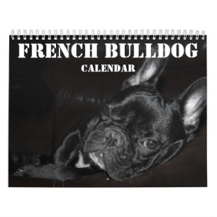 Französischer Bulldog-Kalender 2026 mit Fotos Kalender