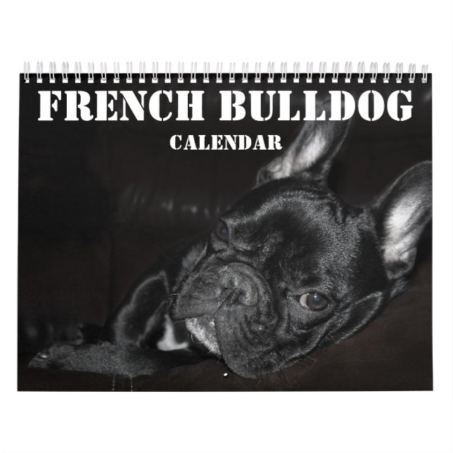 Französischer Bulldog-Kalender 2026 mit Fotos Kalender (Titelbild)