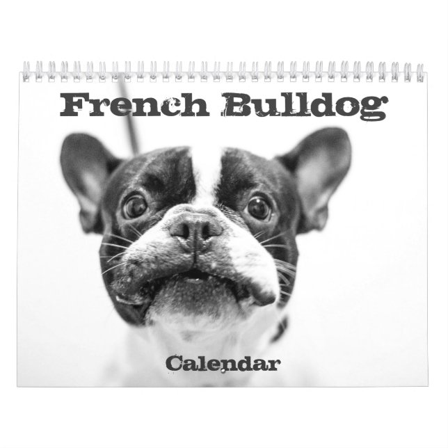 Französischer Bulldog-Kalender 2026 - Schwarz und  Kalender (Titelbild)