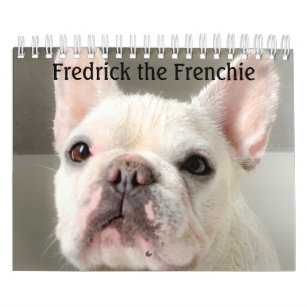 Französischer Bulldog-Kalender - Fredrick the Fren Kalender