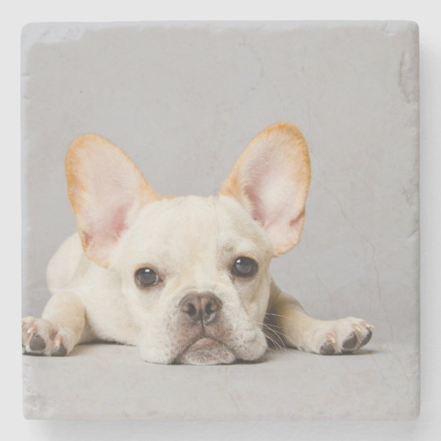 Französischer Bulldog Lächeln Steinuntersetzer (Vorderseite)