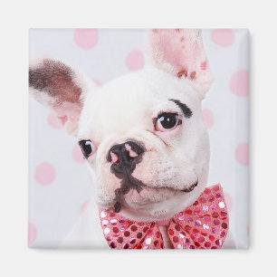 Französischer Bulldog mit Bow-Krawatte Magnet
