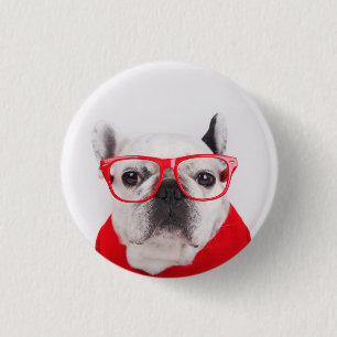 Französischer Bulldog mit Brille und Shirt Button