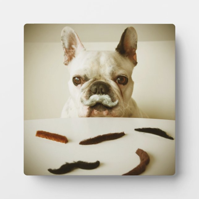 Französischer Bulldog mit Mustache Fotoplatte (Vorderseite)