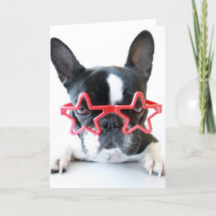Französischer Bulldog mit Red-Star-Brille Karte