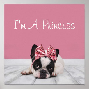 Französischer Bulldog mit rosa Poster