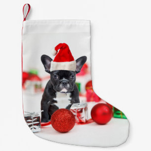 Französischer Bulldog mit Weihnachtsschmuck Kleiner Weihnachtsstrumpf