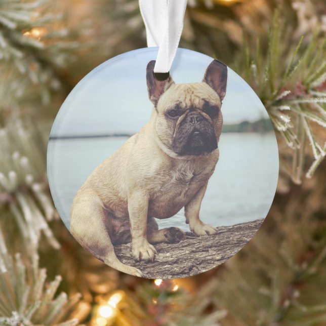 Französischer Bulldog Ornament (Baum)