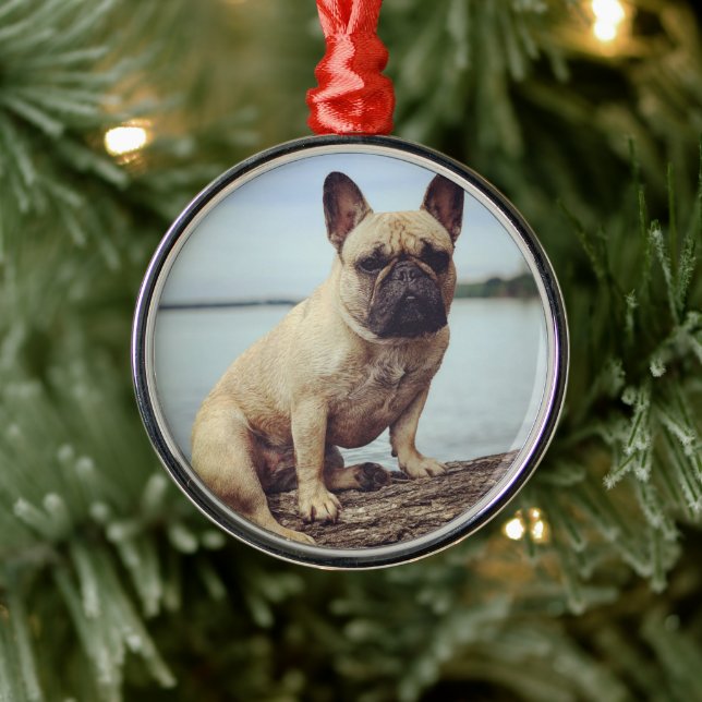 Französischer Bulldog Ornament Aus Metall (Baum)