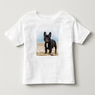 Französischer Bulldog-Spieler im Sand Kleinkind T-shirt