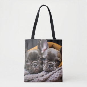 Französischer Bulldog Tier Schönheit Warme Cuddle 